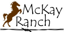 McKay_logo_icon.jpg